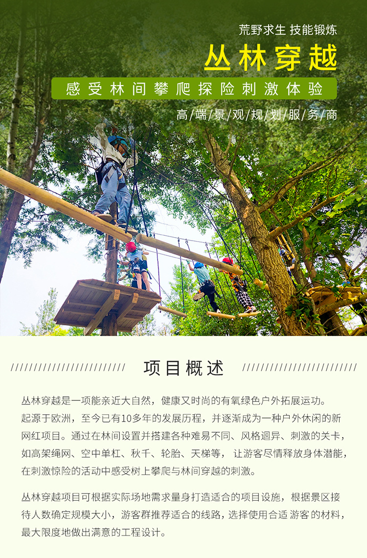 细节图